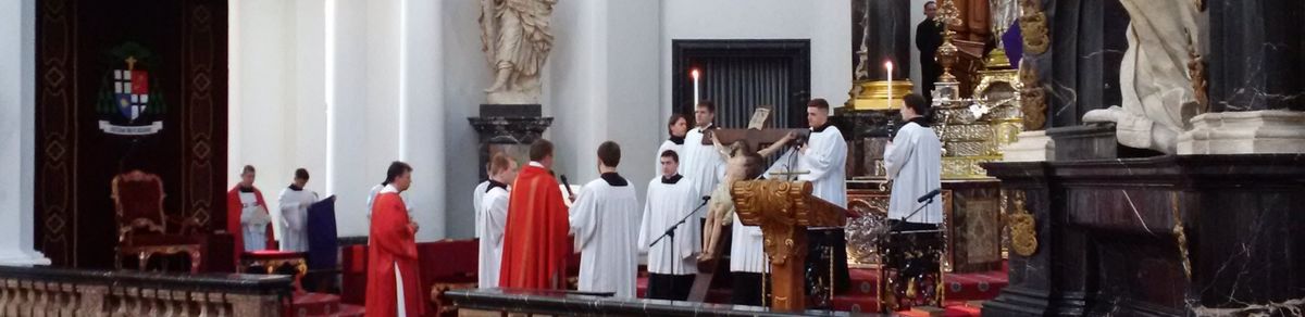 Bischof Gerber feierte die Karfreitagsliturgie im vollbesetzten Fuldaer Dom